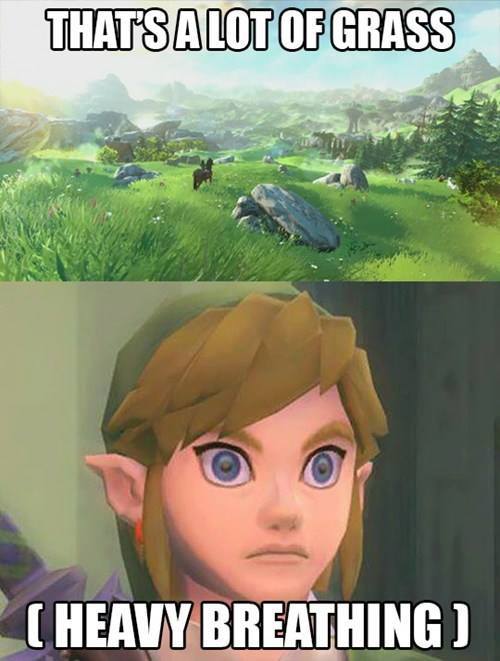 Legend of Zelda Breath of the Wild grass