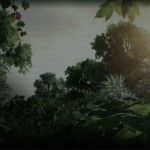 شرکت سونی (Sony)