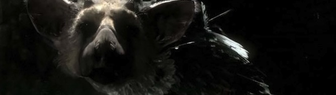 The Last Guardian, شرکت سونی (Sony)