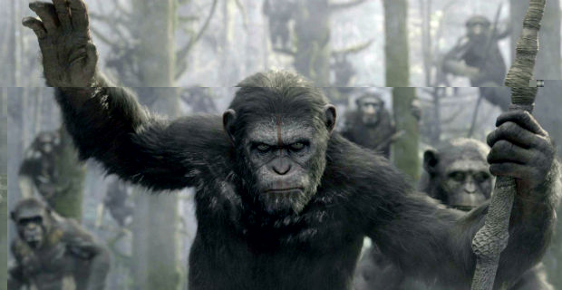 باکس آفیس (Box Office)