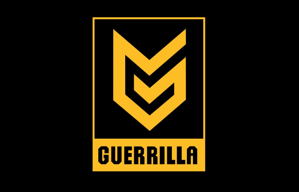 Guerrilla Games, شرکت سونی (Sony)