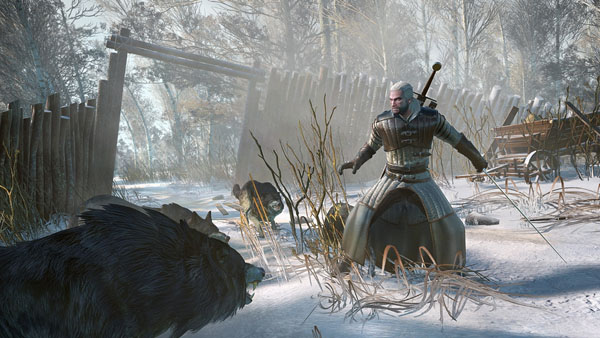 The Witcher 3, پی سی گیمینگ (PC Gaming), شرکت سی دی پراجکت رد (CD Projekt Red)