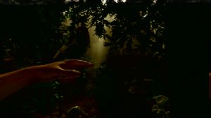 موتور The Forest به Unity 5 ارتقا یافت، بهبودهای عمده در گیم پلی و گرافیک