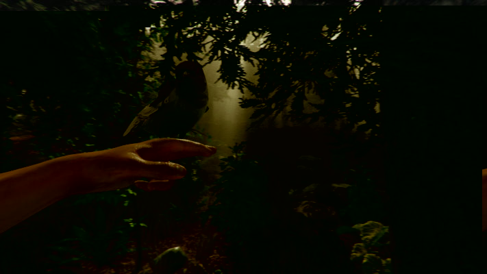 Endnight Games, پی سی گیمینگ (PC Gaming)