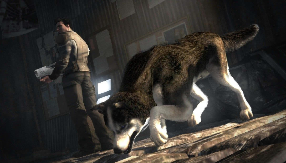 shadow - dead to right