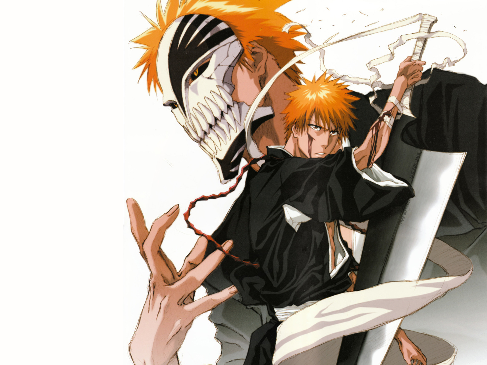 Ichigo (3)