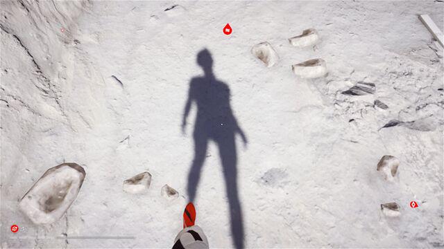 photo_2016-06-26_09-29-48