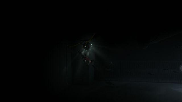 سرّها چنین شکل و شمایلی دارند.