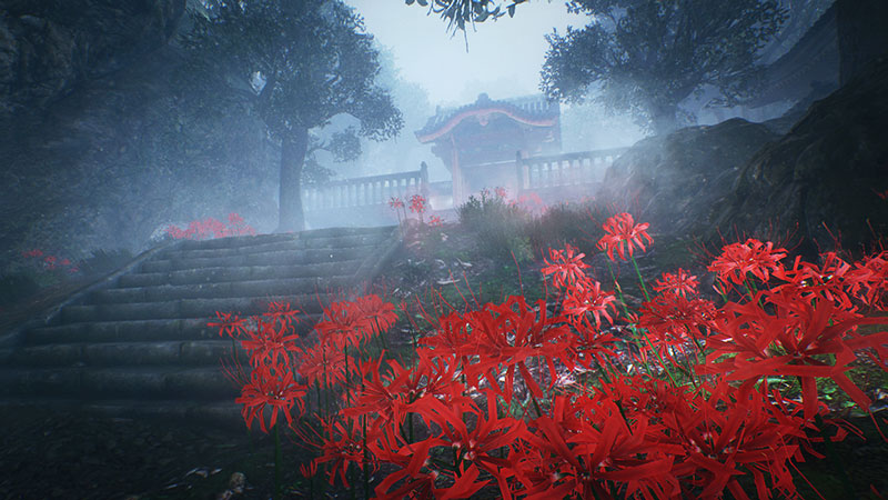 Dead or Alive, Koei Tecmo, Nioh, PlayStation Pro, شرکت Team Ninja