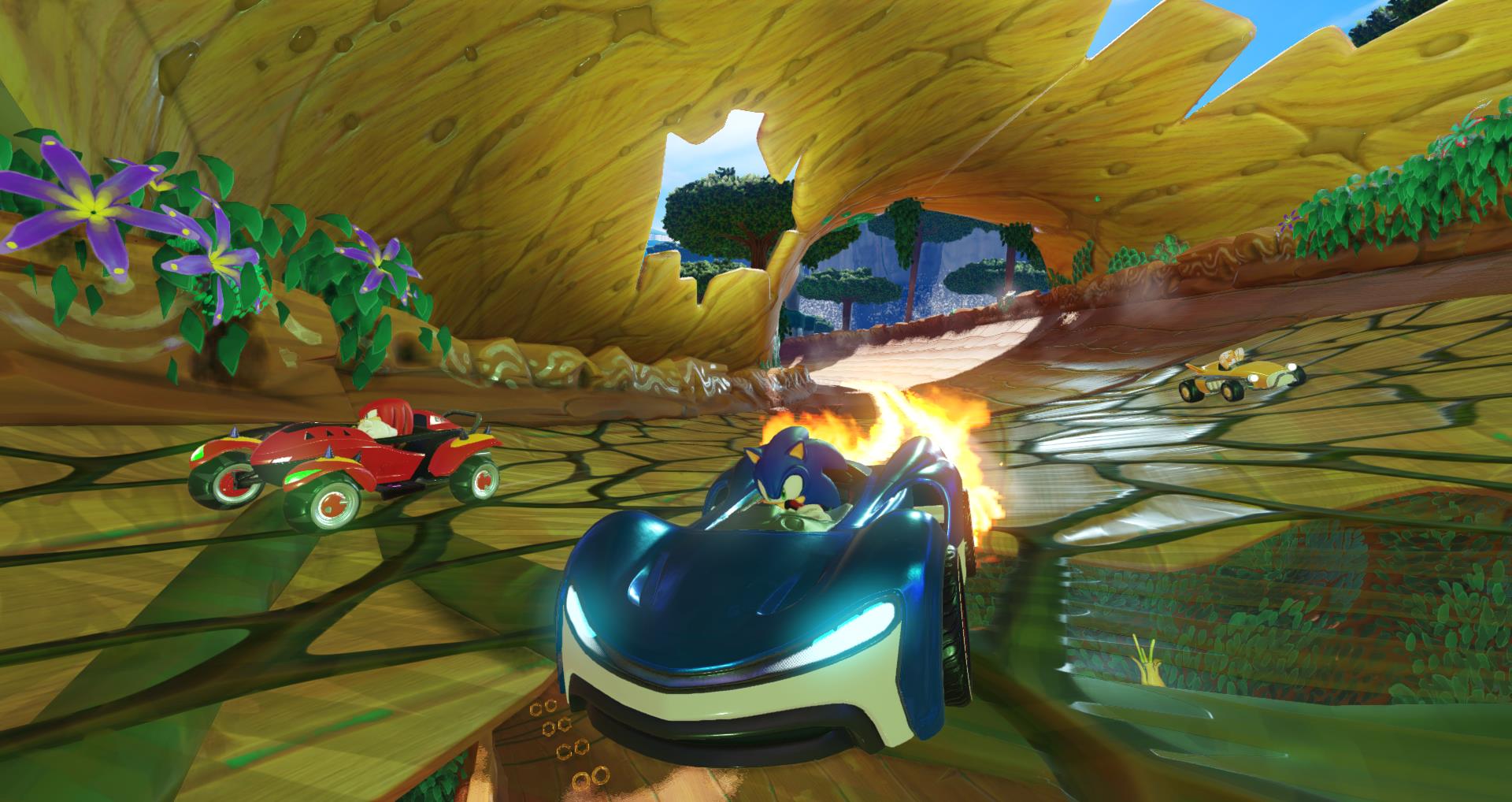 Sonic, Team Sonic Racing, شرکت سگا (SEGA), کنسول نینتندو سوییچ (Nintendo Switch)