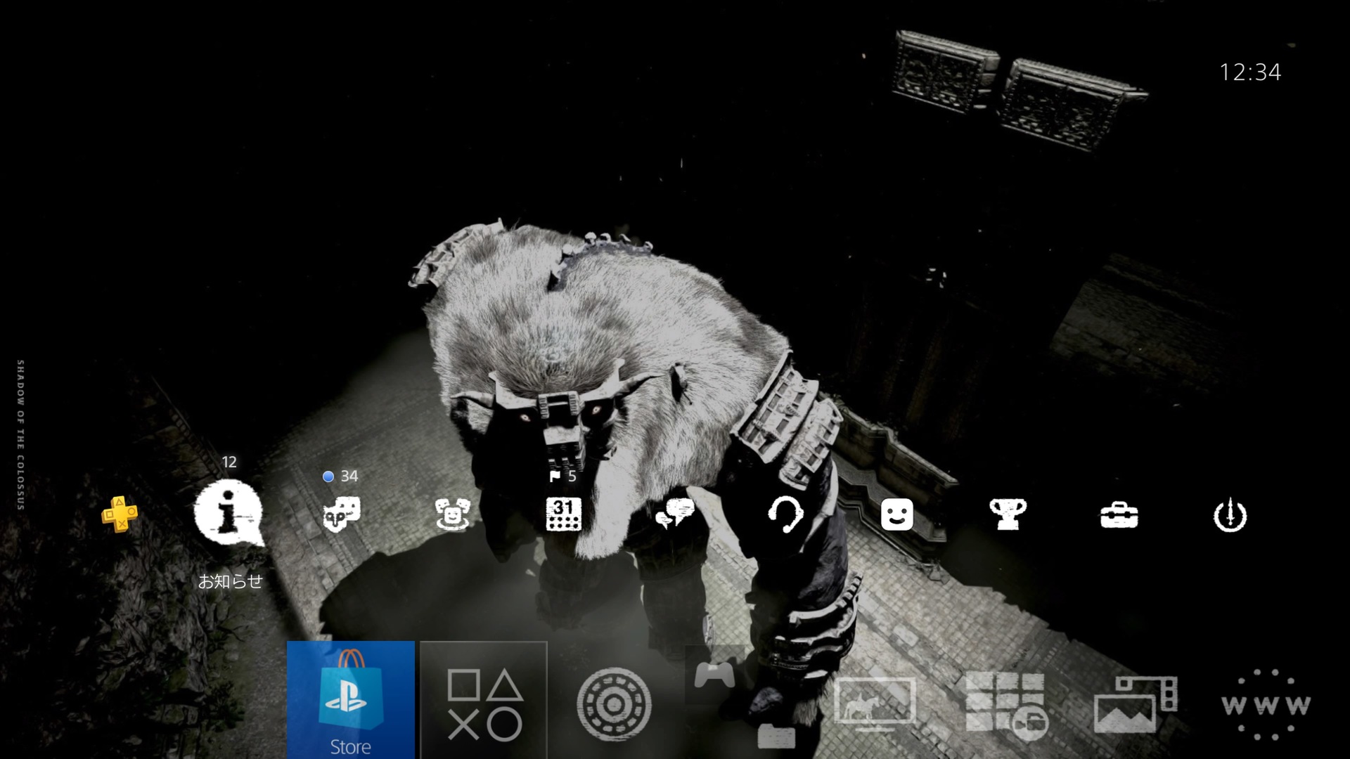 Shadow of the Colossus, شرکت سونی (Sony)