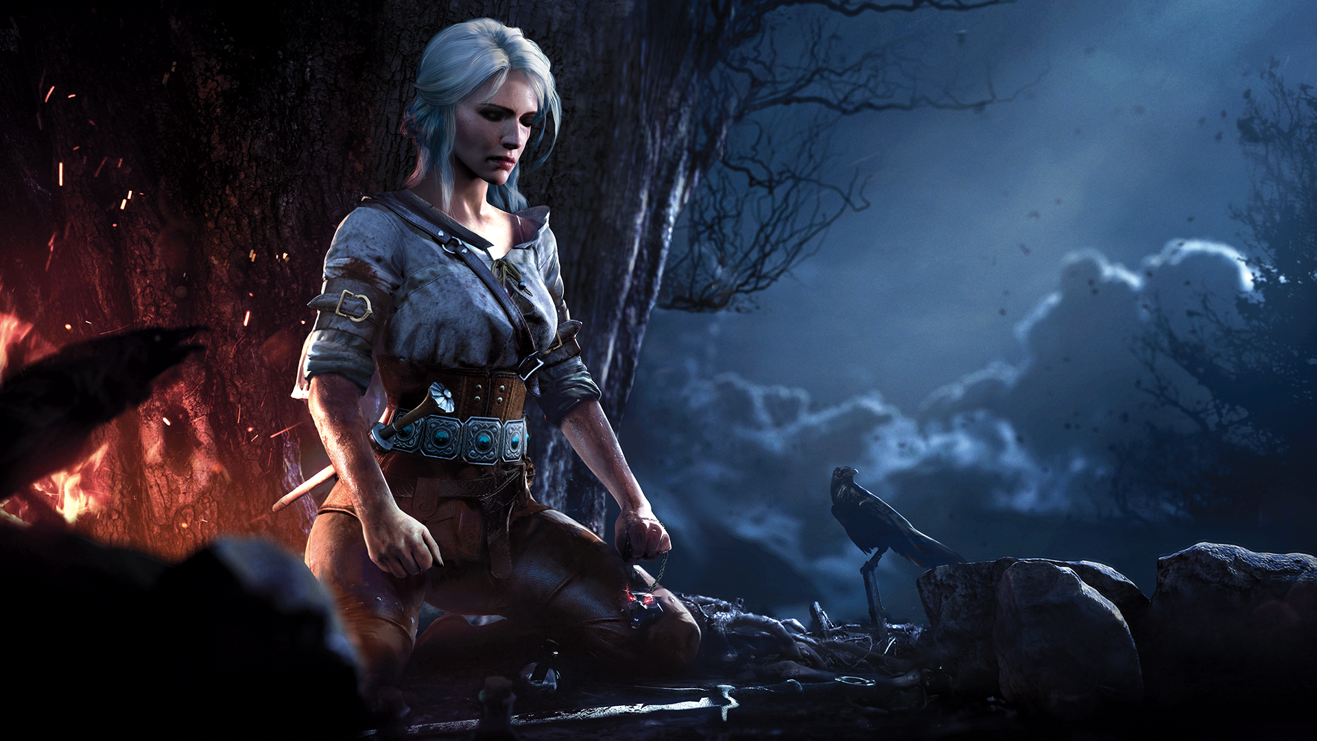 The Witcher 3: Wild Hunt, بازی ویچر (The Witcher), شرکت سی دی پراجکت رد (CD Projekt Red)