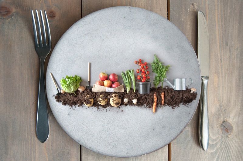 خرید محصولات ارگانیک