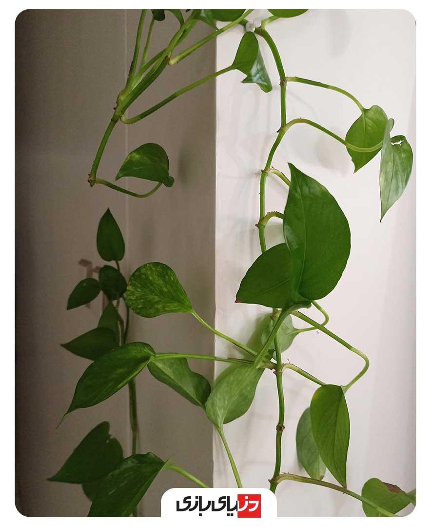 نقد و بررسی گوشی Huawei Y9a