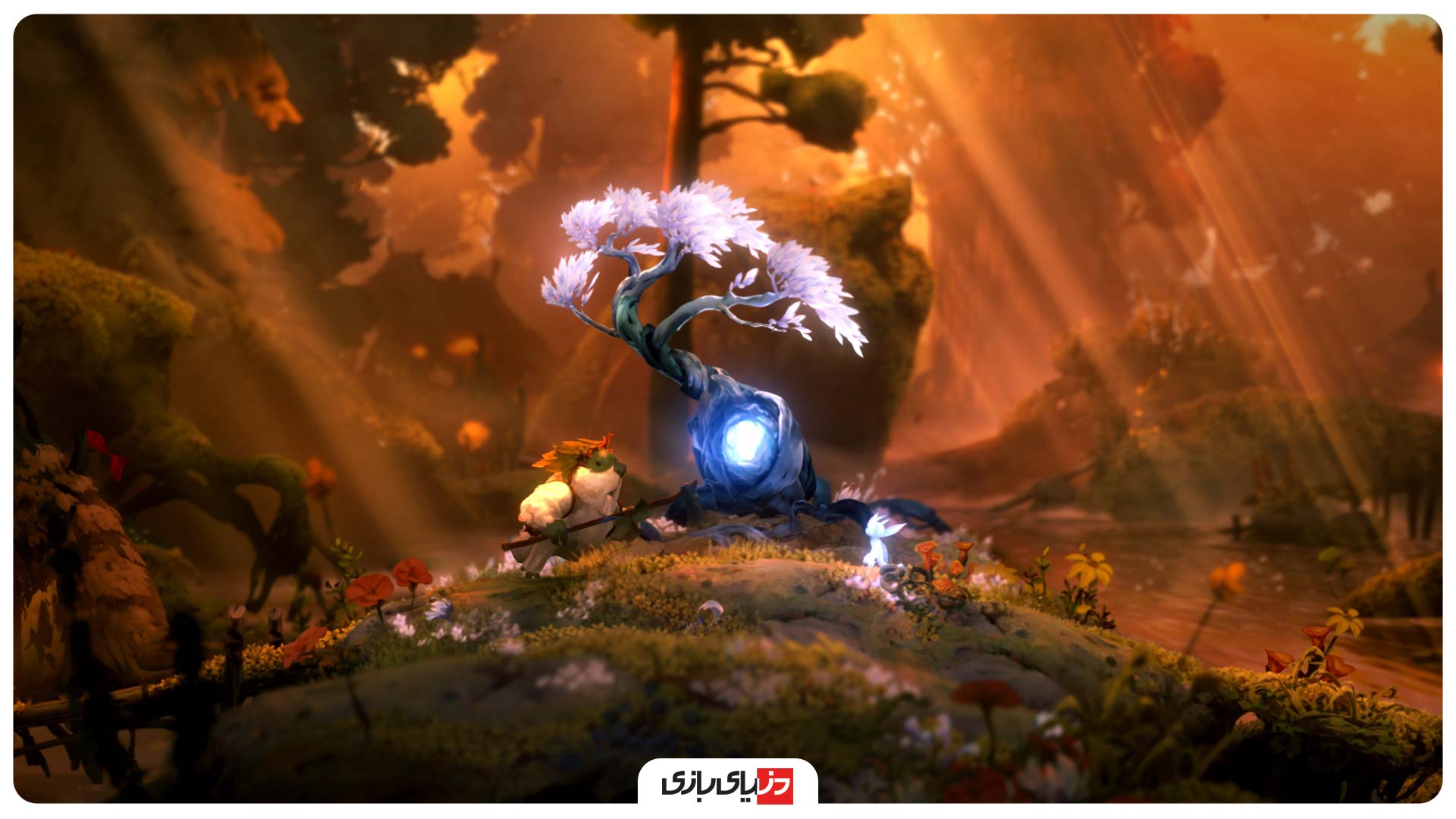 اوری و اراده خردمندان