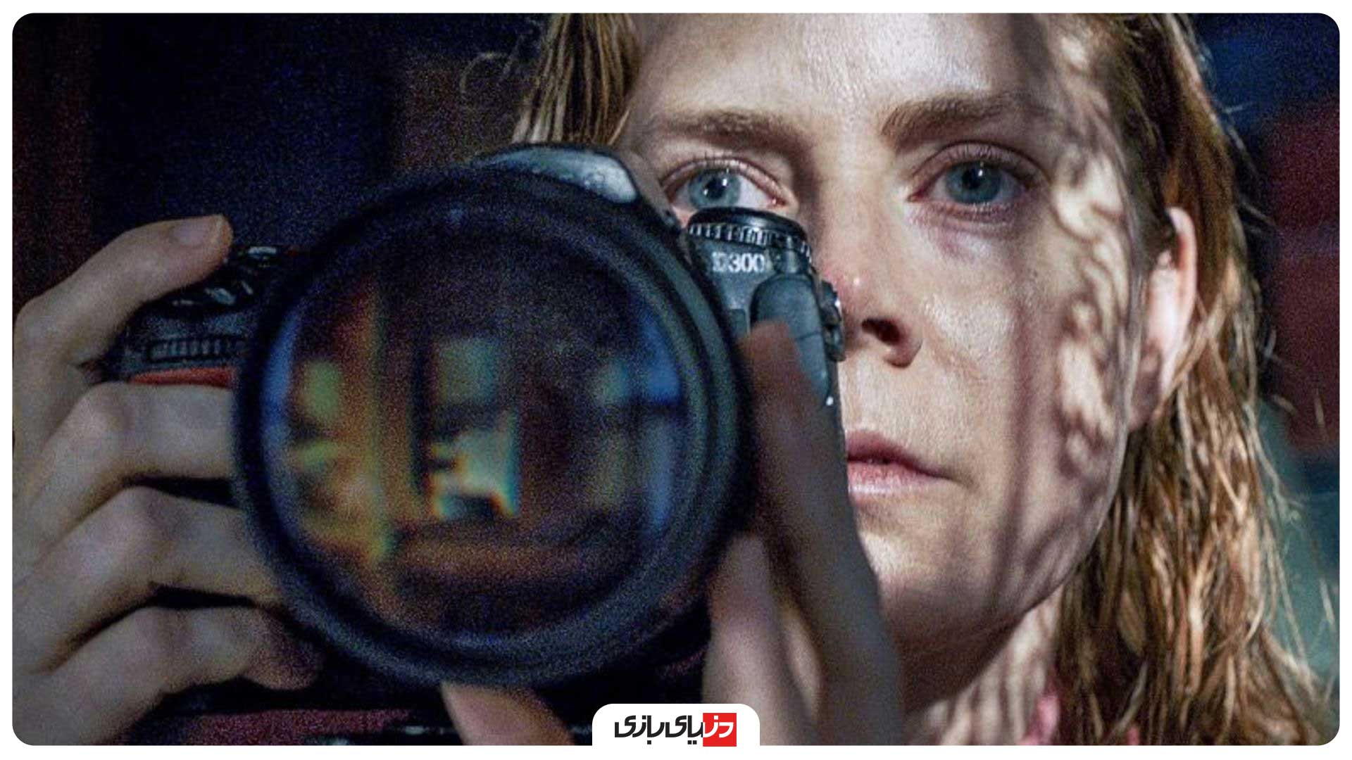 The Woman in the Window