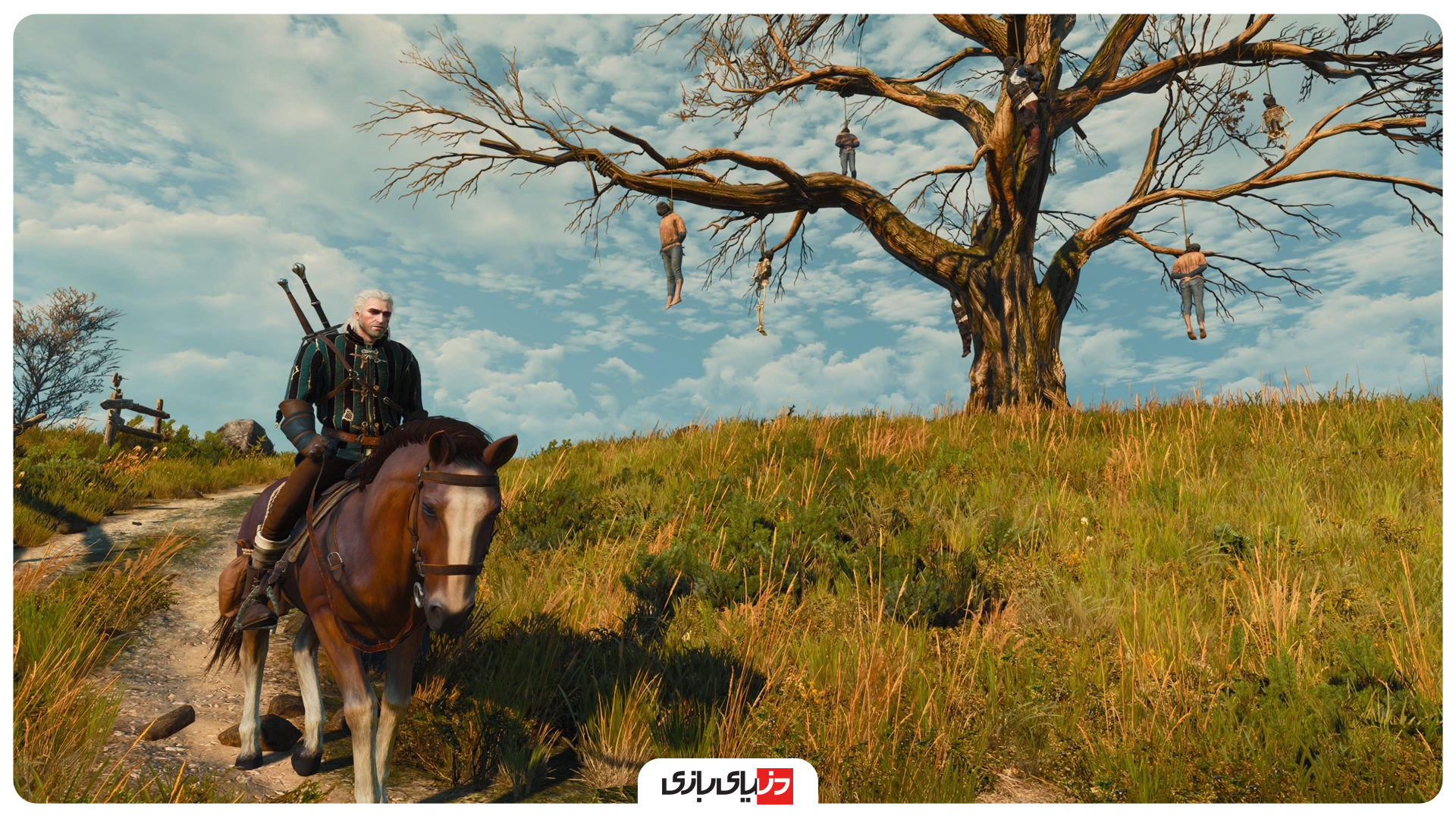 witcher 3 