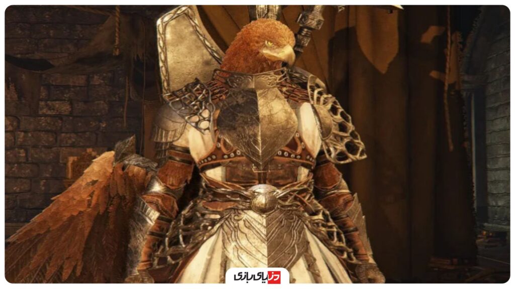 راهنمای کامل بازی الدن رینگ نایت رین