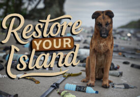 موفقیت بزرگ بازی ایرانی Restore Your Island