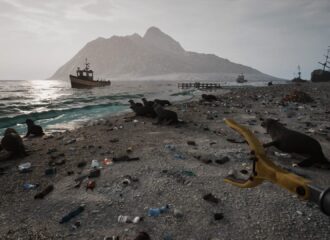 بررسی بازی Restore Your Island