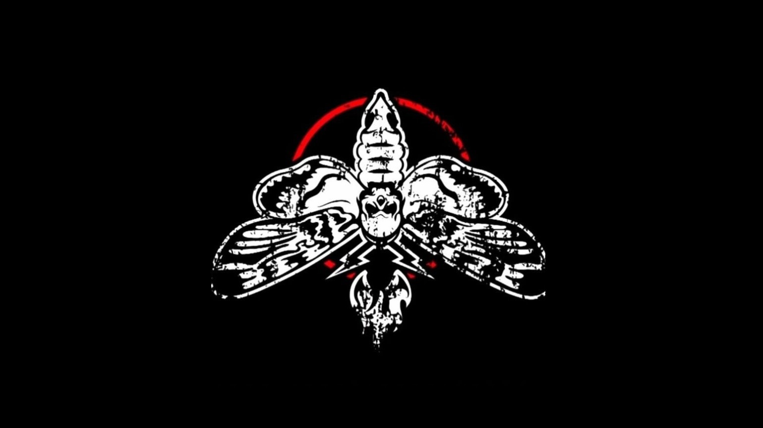 نریمان هروی