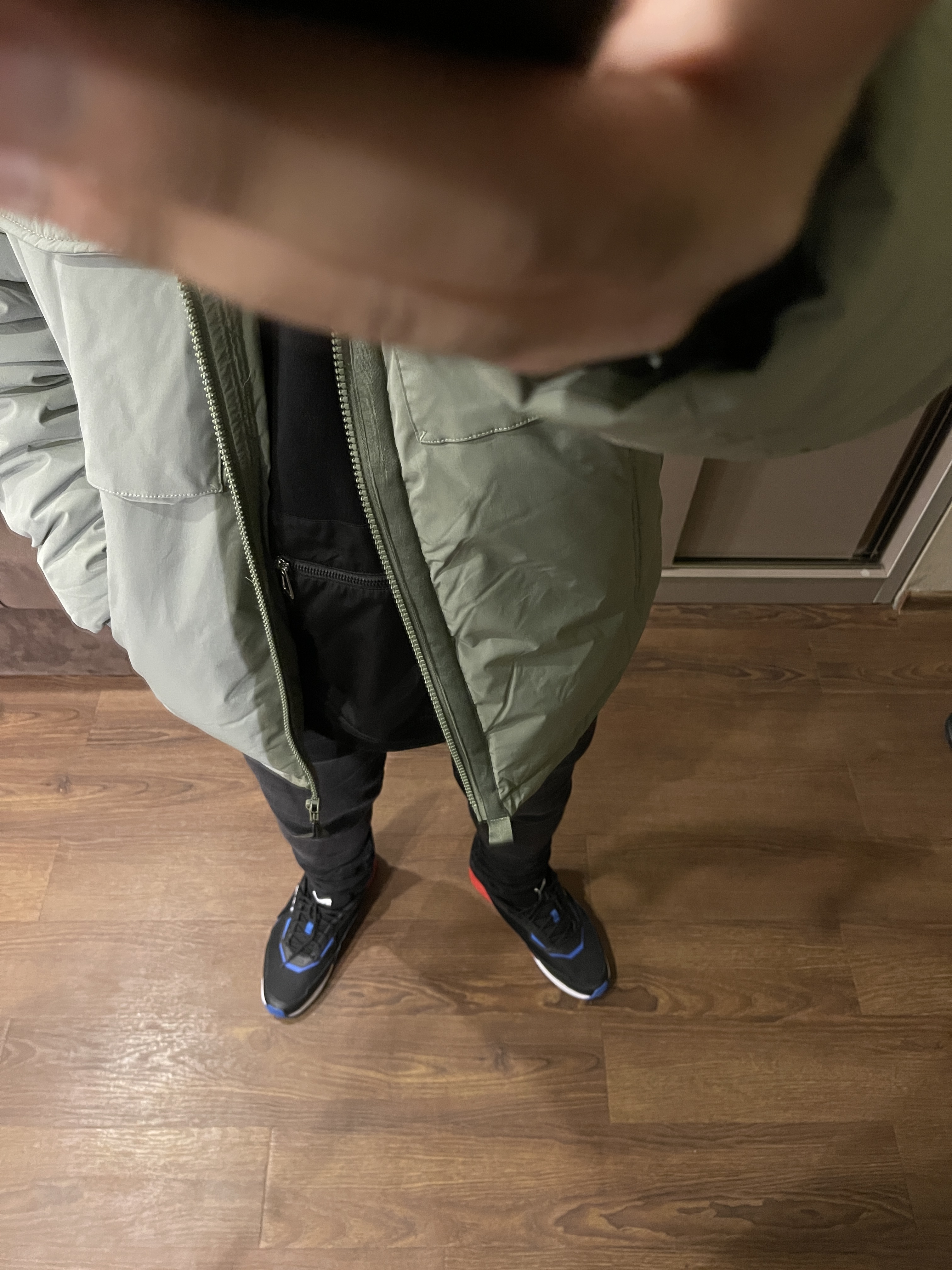 ایلیا حسامی